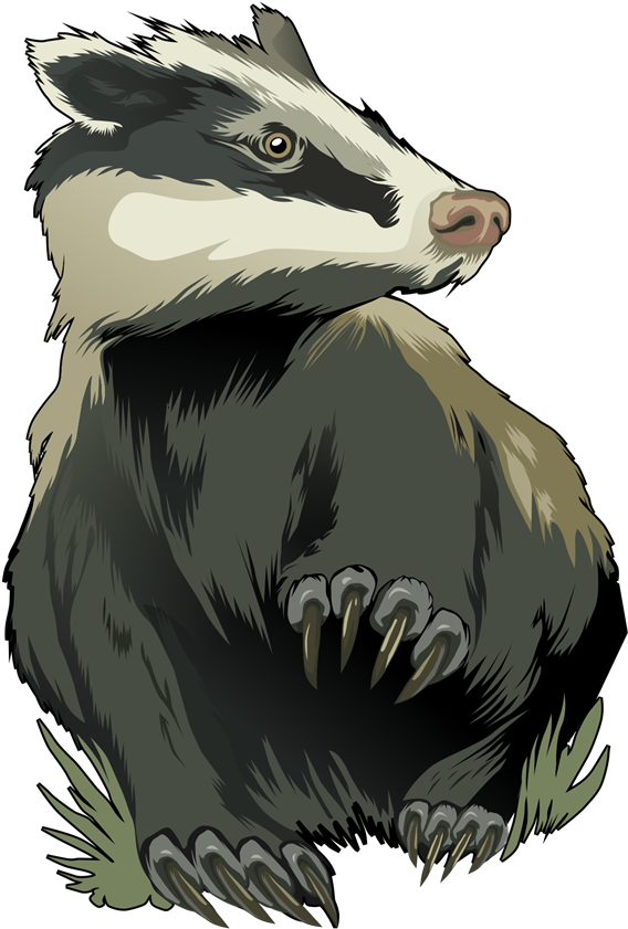 Badger Png - Badger Art (700x911), Png Download