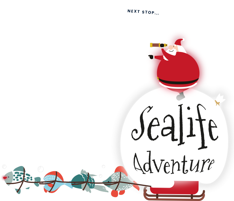 Every Day From 1st 24th December - Sea Life Christmas (790x692), Png Download