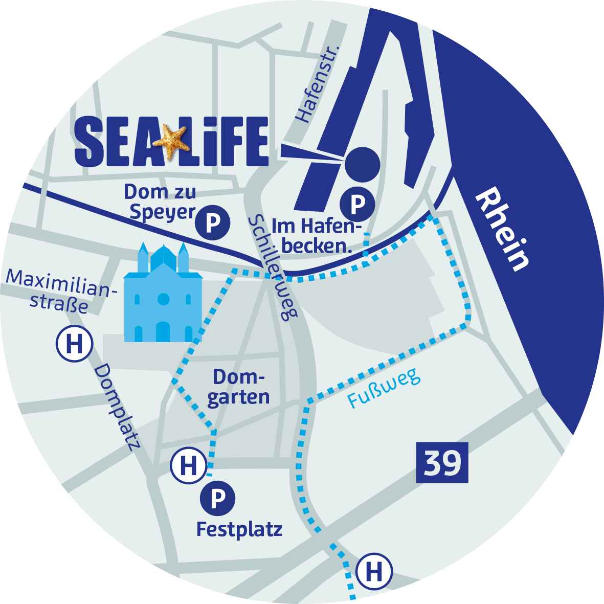 Sea Life - Circle (1181x1181), Png Download