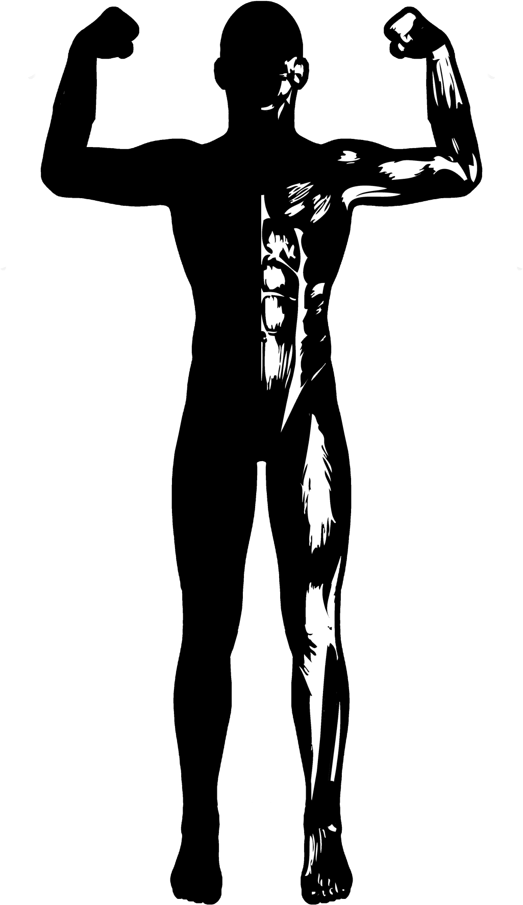 Branding For A Small Sports Supplement Store Based - Tucano Urbano Waterproof Jacket (1340x1895), Png Download