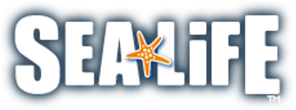 Sea Life [13 Images] Click Any Image To Expand - Sea Life Aquarium Png (1000x600), Png Download