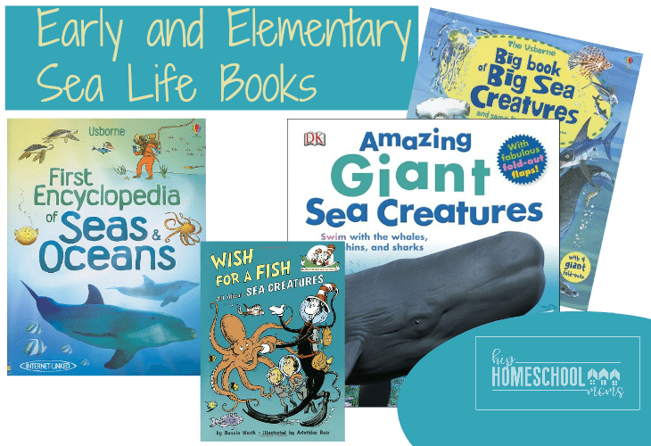 Your Students Will Love This Big List Of Sea Life Books - First Encyclopedia Of Seas & Oceans [book] (730x500), Png Download