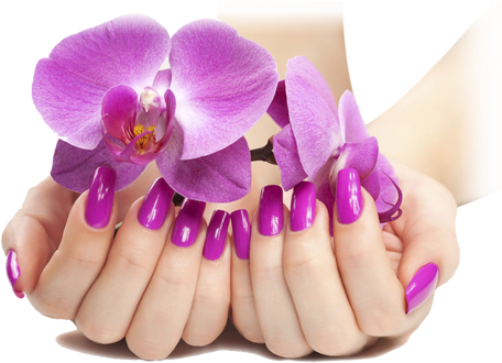 Nails Manicure Png - Nails Png (500x333), Png Download