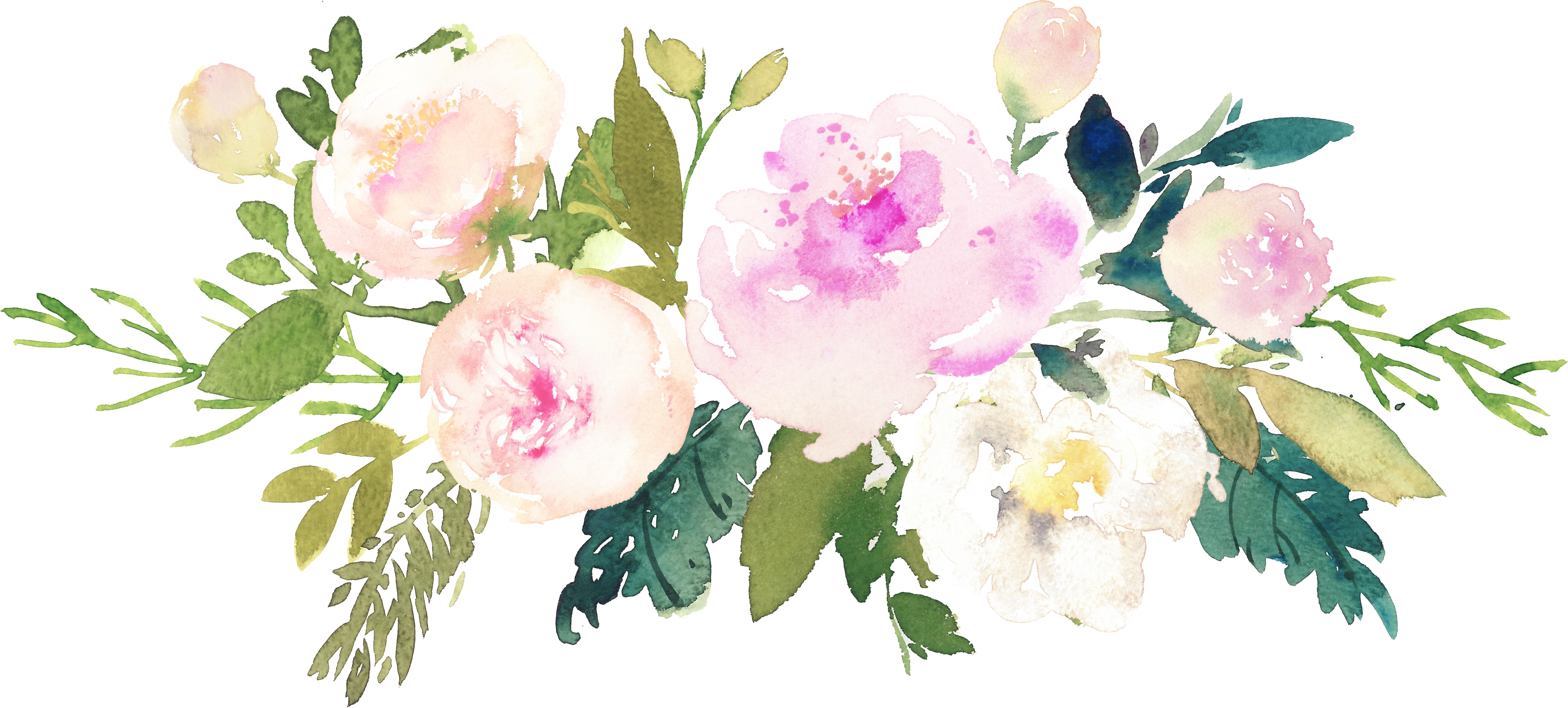 Business Address - Garden Roses (4811x2173), Png Download