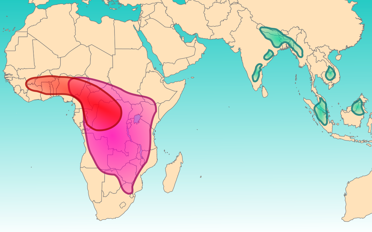Bichiih Yee Adilohii Map - Antarctic Circle In World Map (1280x800), Png Download