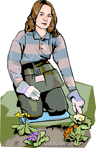 Woman Gardening Royalty Free Vector Clip Art Illustration - Clip Art (313x480), Png Download