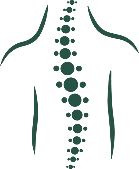 Our Spinal Cord Injury Lawyers Can Help If You've Had - Spine Clipart (442x538), Png Download