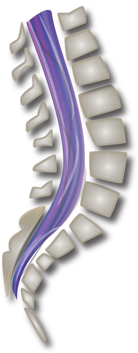 Indigo Kinetics Spine Square Icon - Facebook (1184x1184), Png Download