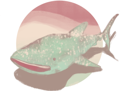 2 - Great White Shark (500x353), Png Download