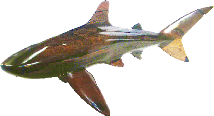 Shark (726x641), Png Download