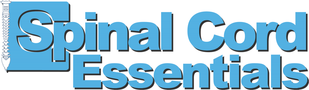 Spinal Cord Injury Education In Small Doses - Spinal Cord (1024x312), Png Download