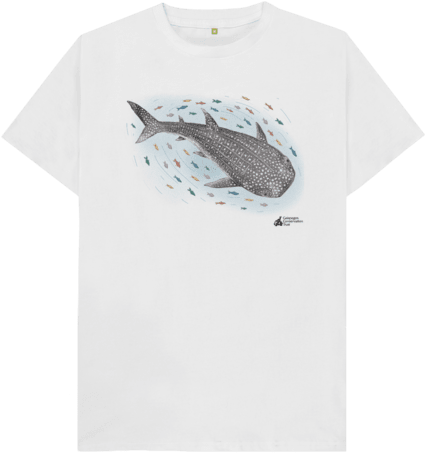 White Whale Shark Kid's T-shirt - Whale Shark T Shirts (640x674), Png Download