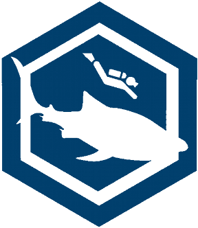 Whale Shark Ad Logo - Shine Melee (350x350), Png Download
