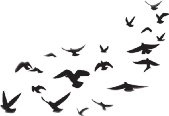 Report Abuse - Picsart Png Stickers (593x407), Png Download