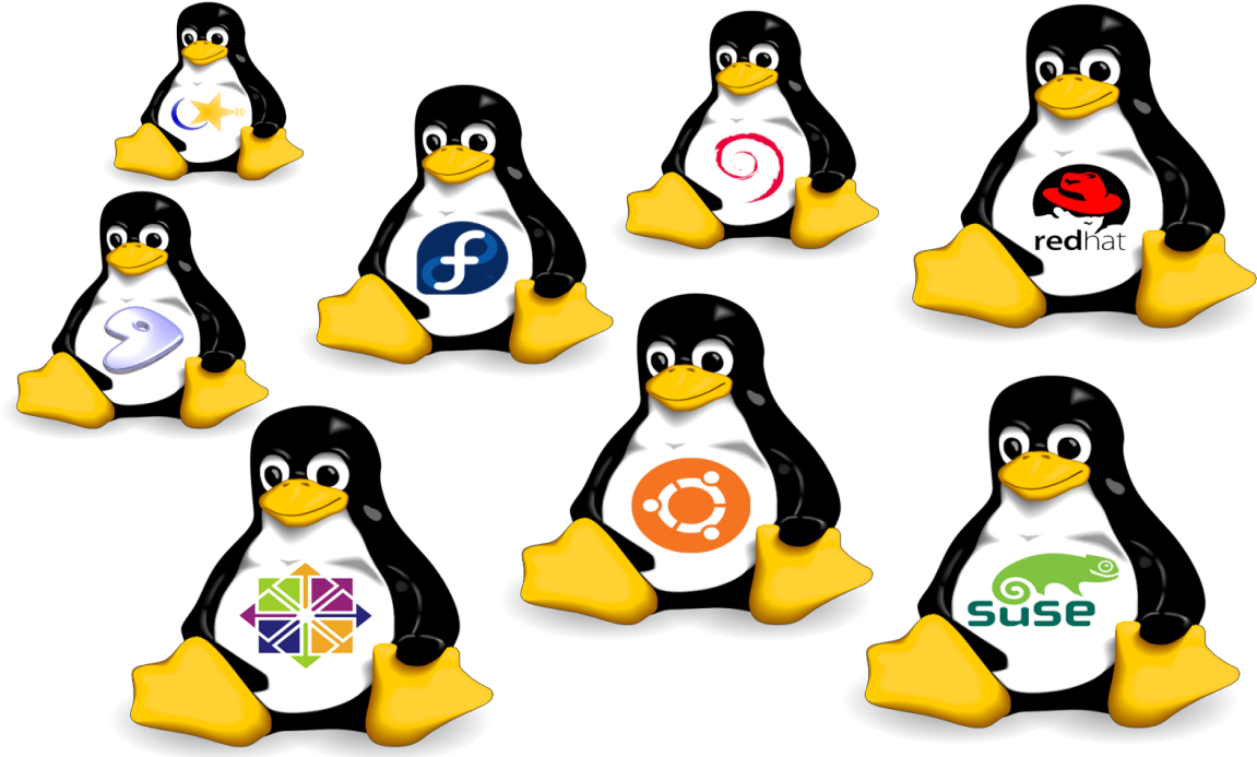 Linux Hosting Clipart Hosting Png - Linux Distributions Png (1170x700), Png Download