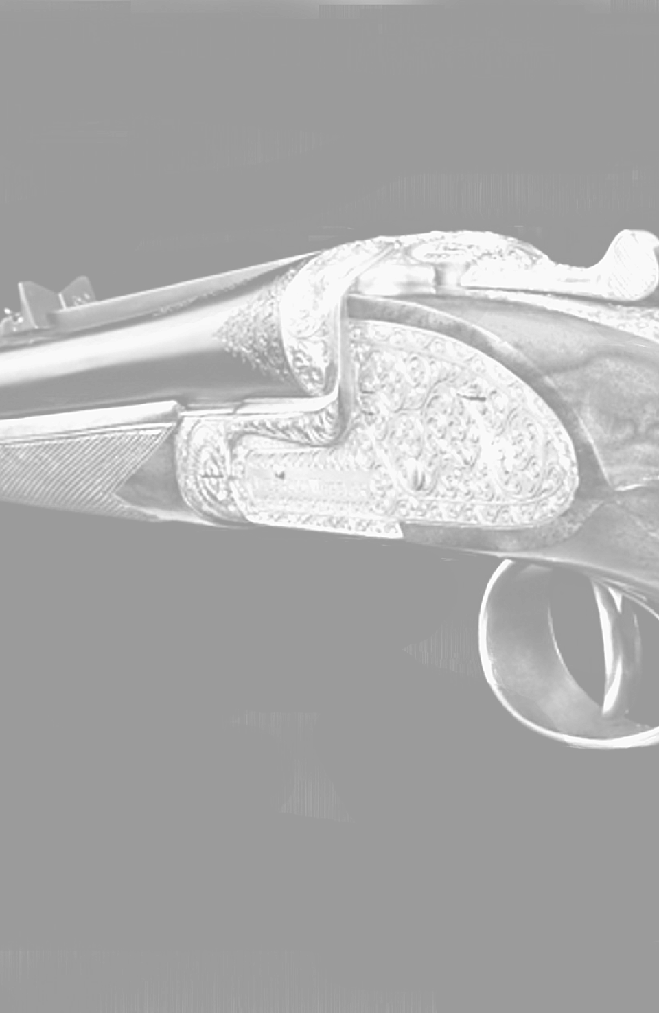 All Of Us Who Hunt Have Favorite Rifles We Cannot Wait - Gun (960x1476), Png Download