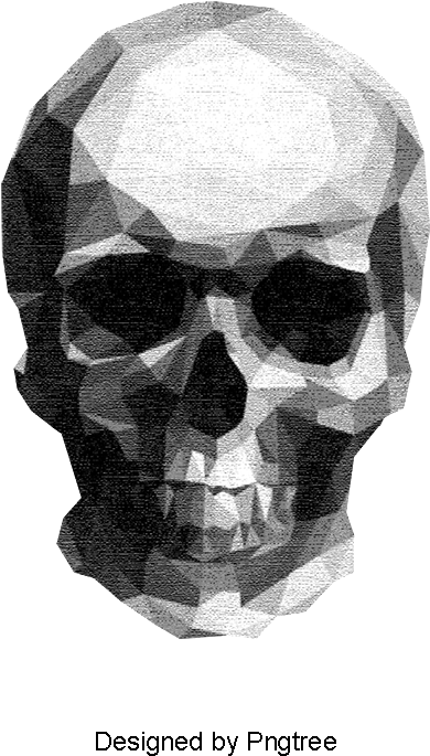 Sketch Skull, Skull Clipart, Sketch, Human Skeleton - Low Poly Illustrator (800x800), Png Download