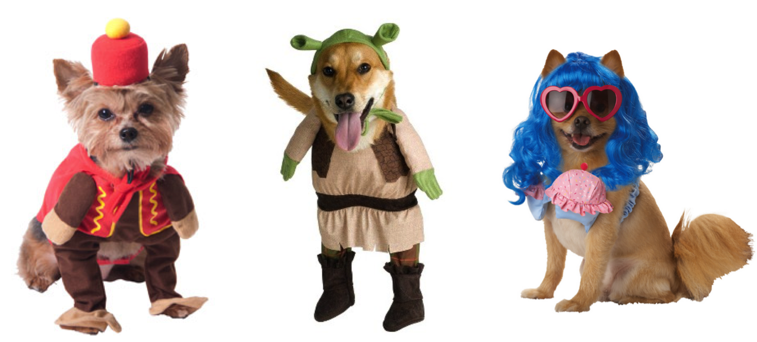 Halloween Transparent Png Pictures - Circus Monkey Dog Costume (1488x672), Png Download
