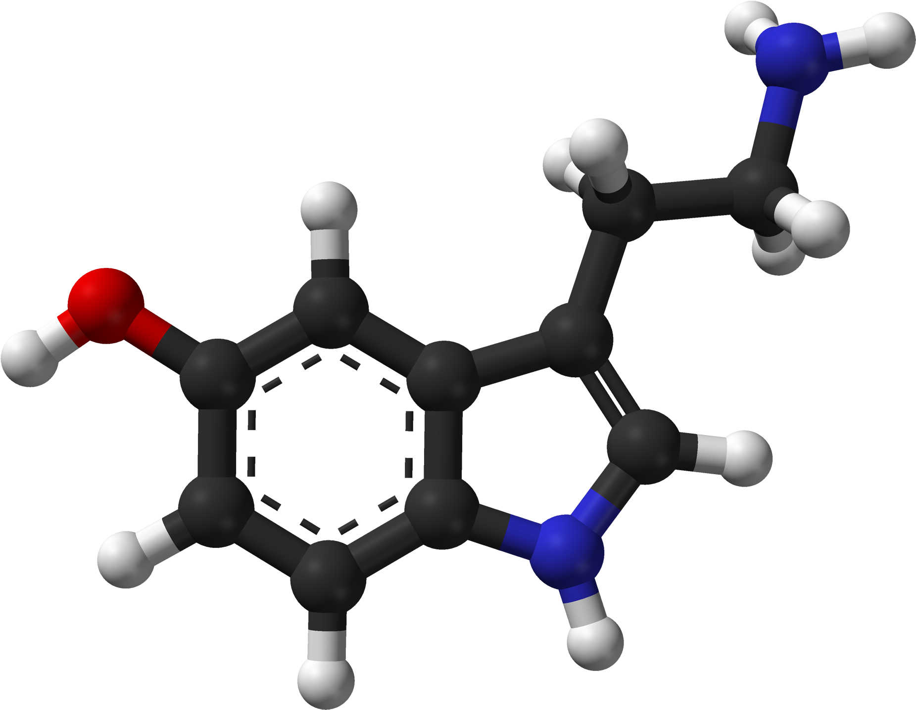 Serotonin Spartan Hf Based On Xtal 3d - Serotonin Molecule (757x600), Png Download