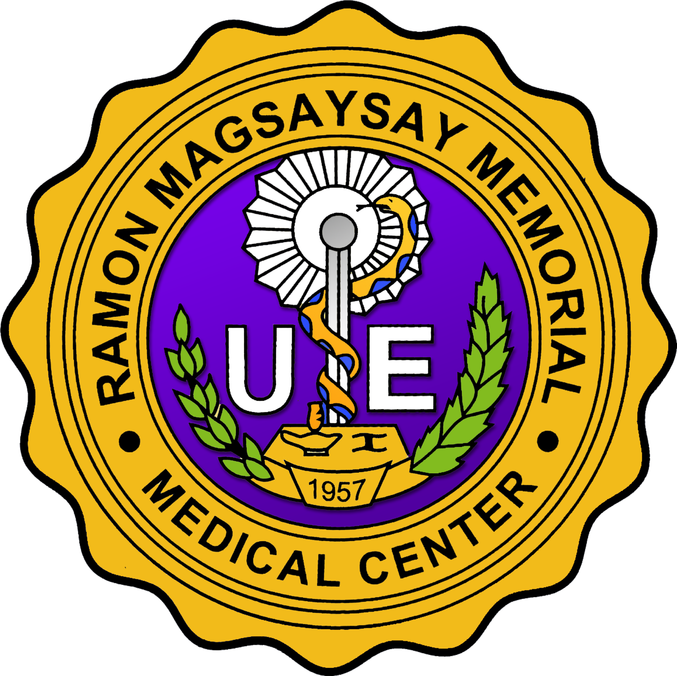 University Of The East Ramon Magsaysay Memorial Medical (2400x2410), Png Download