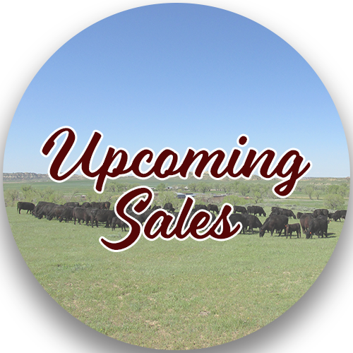 Download Sales Full Size PNG Image PNGkit