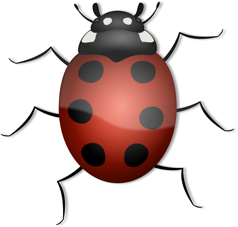 Get Notified Of Exclusive Freebies - Animals With 6 Legs Clipart (800x768), Png Download