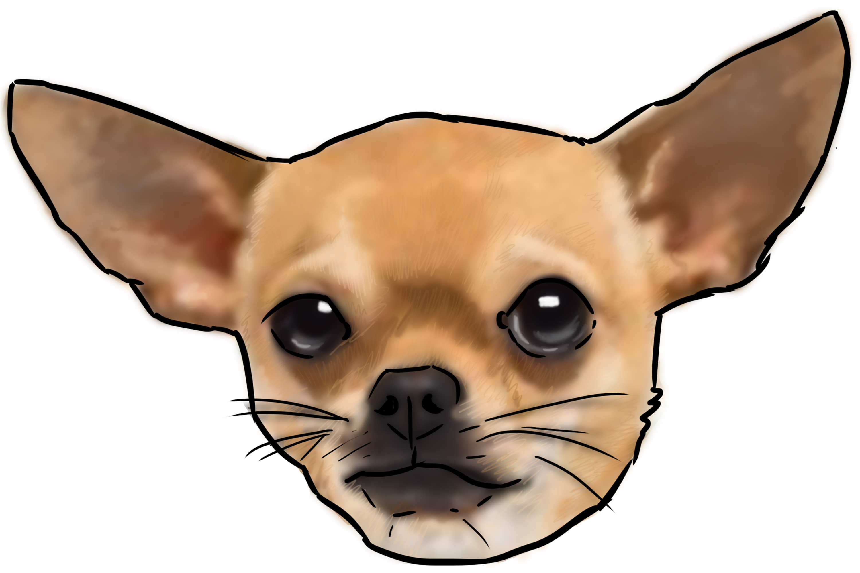 Chihuahua Png (3000x3000), Png Download