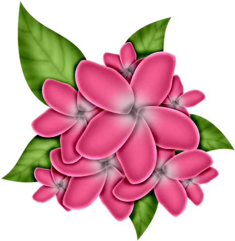 Flower-04 - Clip Art (500x500), Png Download