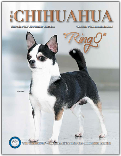 The Chihuahua - Magazine (476x525), Png Download