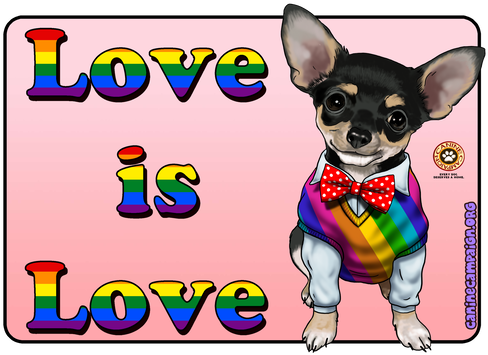 Chihuahua (498x384), Png Download