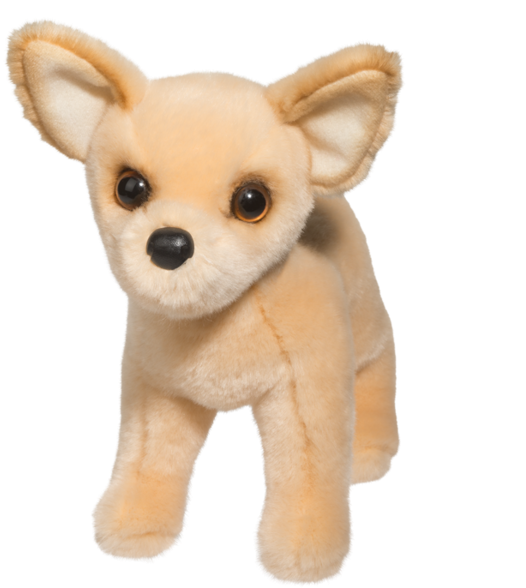 Douglas Carlos Chihuahua - Douglas Chihuahua (600x600), Png Download