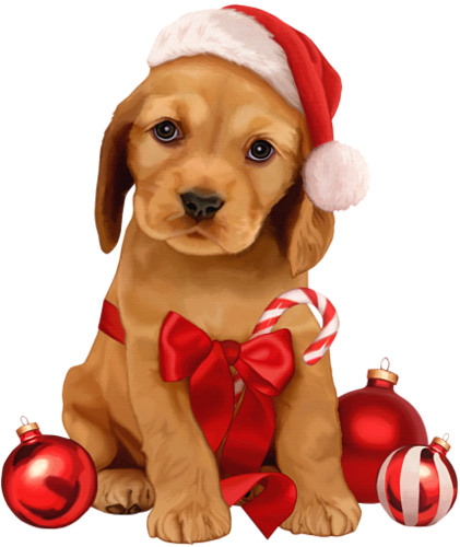 Svg Library B A C Orig Png Pinterest - Holiday Puppy (421x500), Png Download