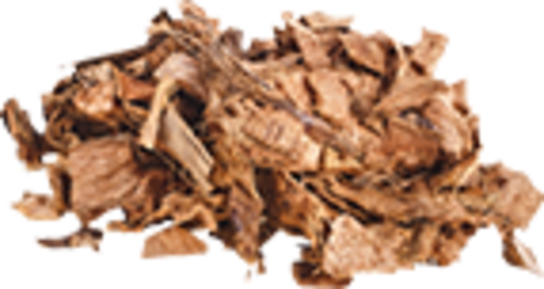 Coconut (600x319), Png Download