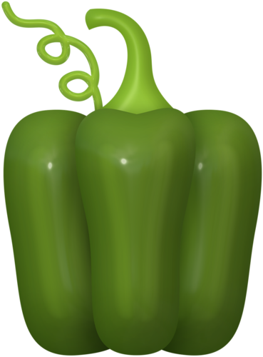 Fruit Clipart, Food Clipart, Garden Clipart, Vegetable - Green Bell Pepper Clipart (369x500), Png Download