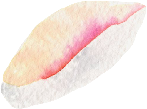 Sushi Adventures In Japan (526x394), Png Download