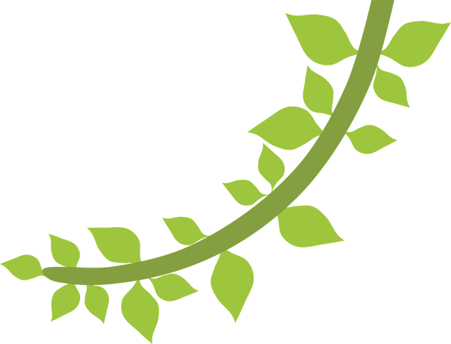Floresta E Safari - Folhas Safari Desenho Png (900x687), Png Download