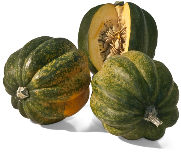 Acorn Squash Transparent Background - Squash Transparent Background (600x600), Png Download