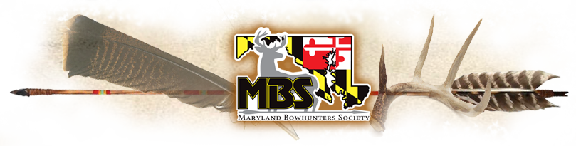 You Can Also Sign Up For The Mbs News & E-alerts To - Graphic Design (809x205), Png Download