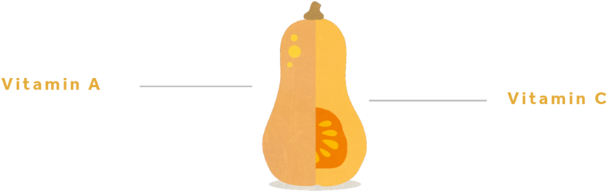 Butternutsquash-01 - Butternut Squash (1000x563), Png Download