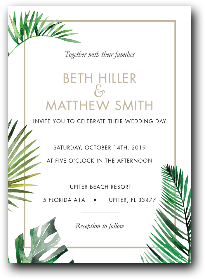 Tropical Palms - Dot & Bo, Inc. (1000x1000), Png Download