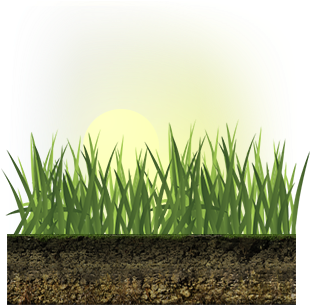 You'll Lose More Water To Evaporation If You Water - Watering Grass Png (371x328), Png Download