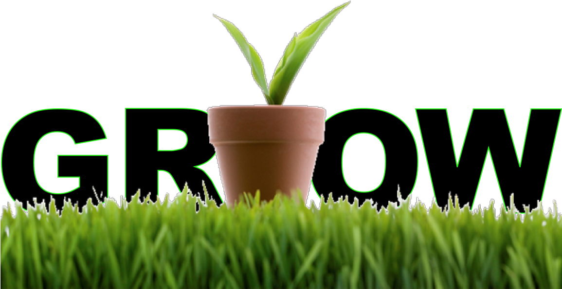 Grow Your Business Using Lead Nurturing - Metodo G.r.o.w 2017: I Segreti Dell'eccellenza E Del (1154x865), Png Download