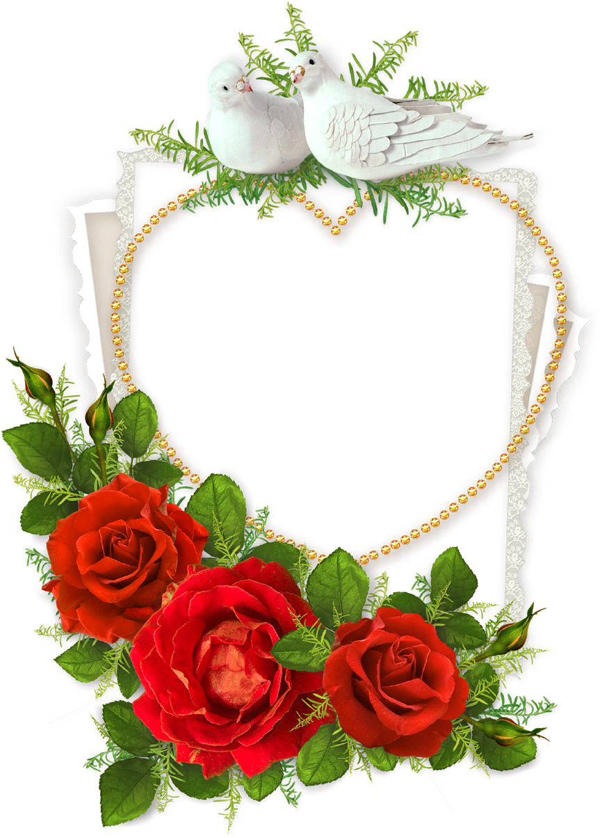 Download Heart Shaped Photo Frame With Doves And Red Wedding Heart