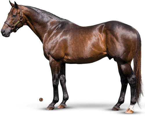 Congrats - Teofilo Stallion (500x400), Png Download