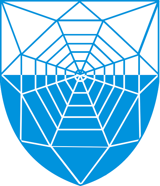 Blue, Spider, Web, Coat, Arms - Reykjavík Coat Of Arms (550x640), Png Download