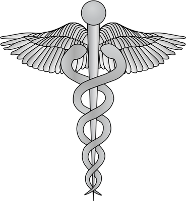Free Icons Png - Physical Medicine And Rehabilitation Symbol (369x400), Png Download