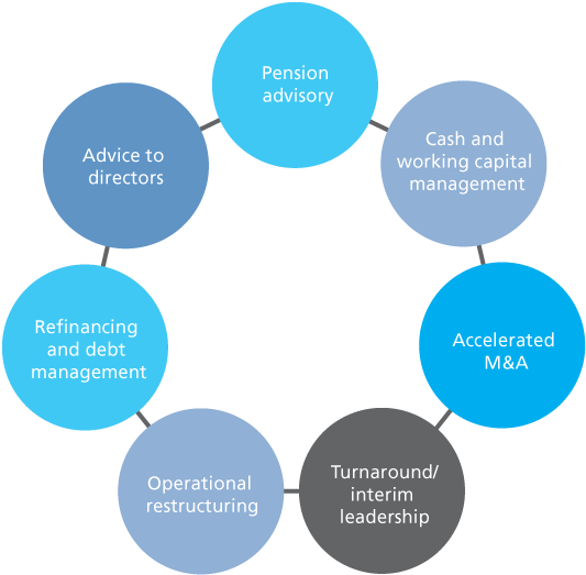 Download Transparent Corporate Advisory Diagram Final Symetrical ...