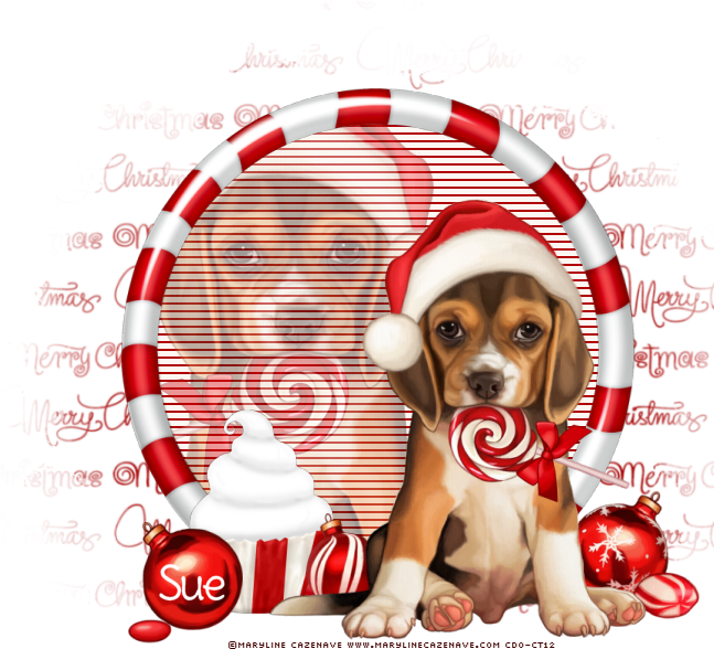 Photo Merry Christmas - Beagle (800x800), Png Download