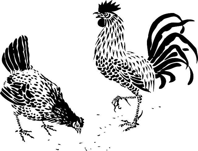 Animals, Tribal, Cartoon, Farm, Rooster, Hen, Fighting - Artistic Stencils French Rooster Stencil (640x488), Png Download