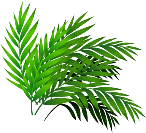 Qn3g 5tbo 141017 [преобразованный] - Vector Graphics (500x467), Png Download